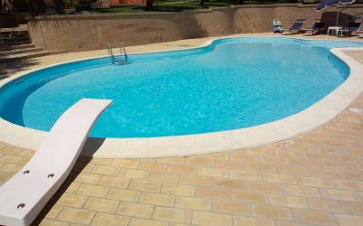 Trampolini Piscina Modello Delfino 4